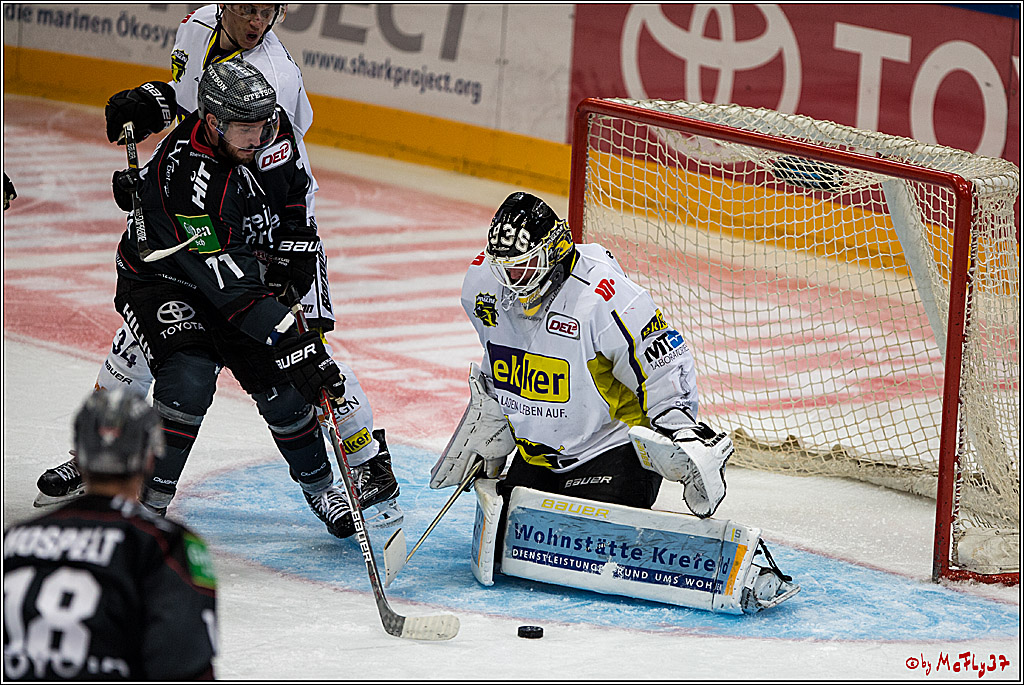 Koelner Haie - Krefeld Pinguine , 23.09.16(KW38)